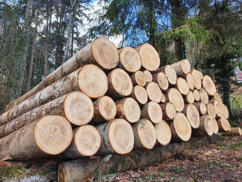 Rohstoff Holz Nachhaltig